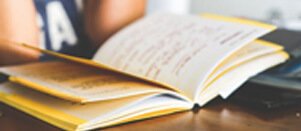 Essay Help